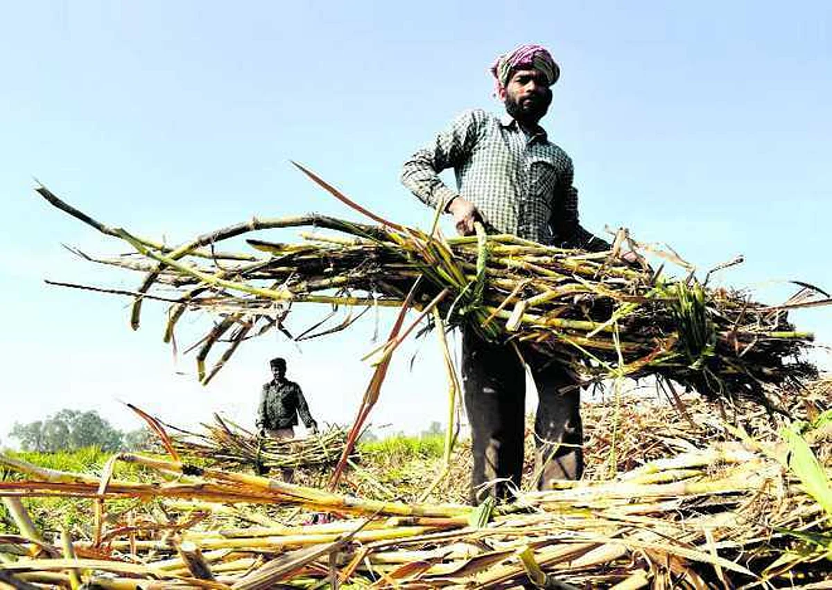 महामंडळाच्या खर्चाचा बोजा शेतकऱ्यांवर कशासाठी ?