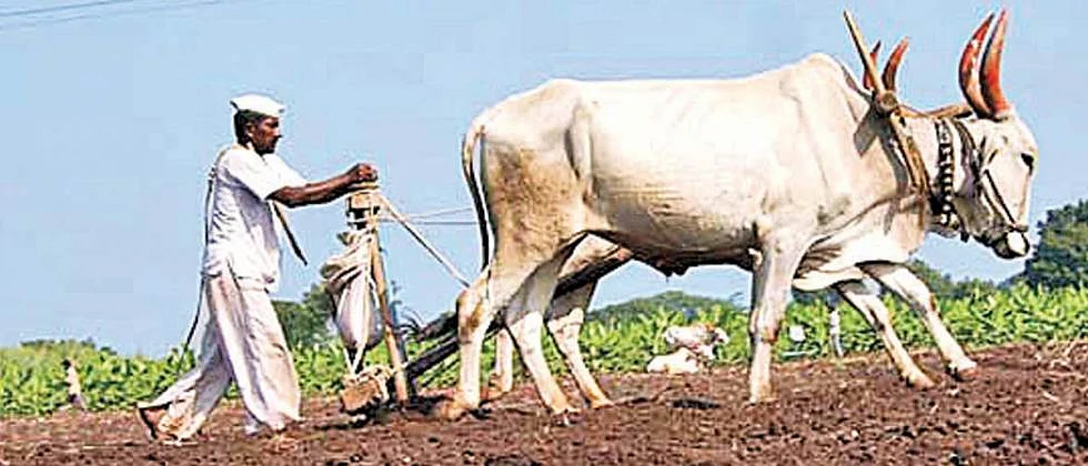 National Farmer's Day 2022 | Kisan Diwas 2022