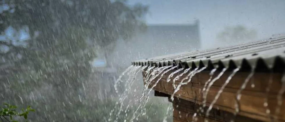Rain