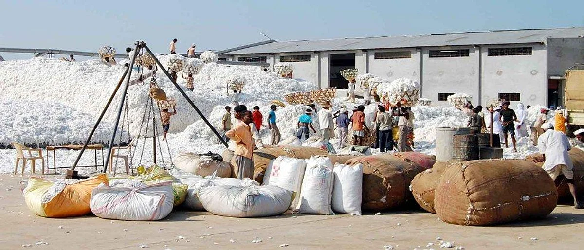 कापूस महासंघाच्या अध्यक्षा उषा शिंदे यांचा राजीनामा