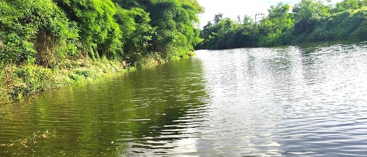 जलसंधारण मोहिमेतून पाणी टंचाईवर मात