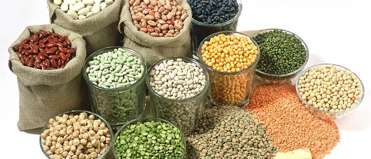 कडधान्य आयातीला मुदतवाढ कुणासाठी?