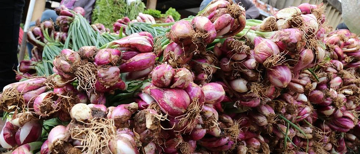 फ्लॉवर, पापडी, घेवड्याच्या दरात १० टक्के वाढ