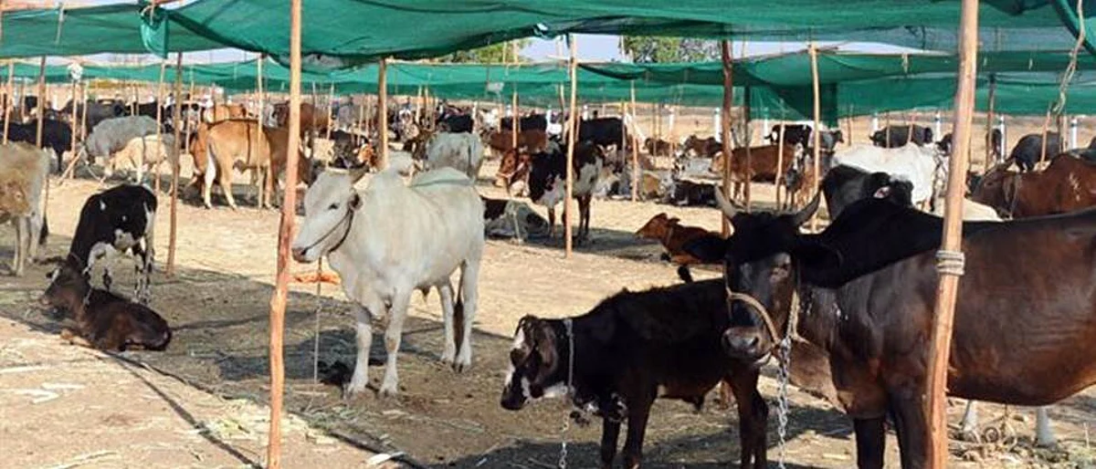 संग्रहित छायाचित्र