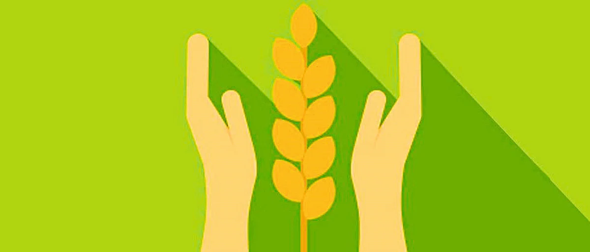 Crop Loan
