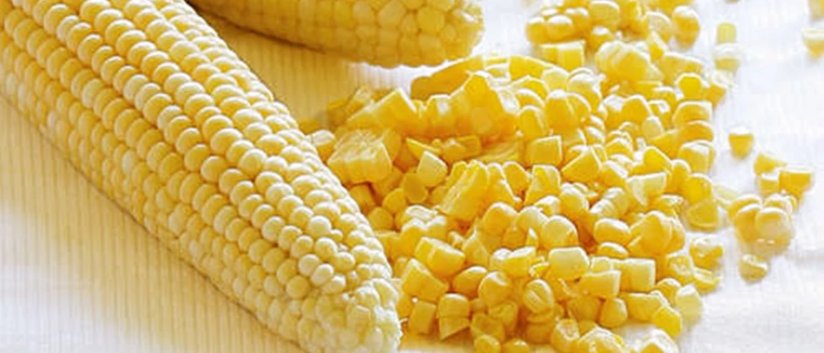 corn processing