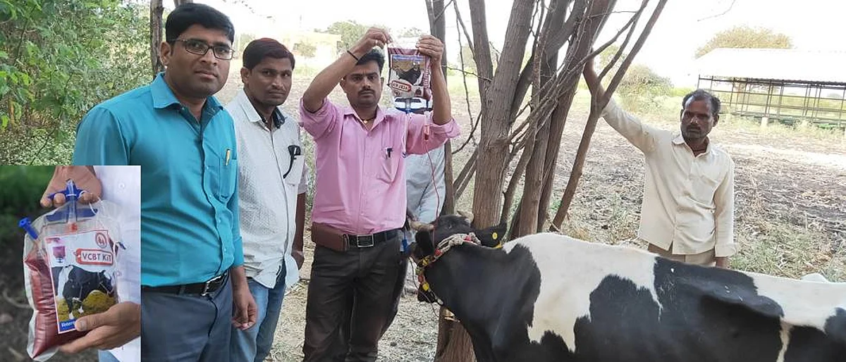 जनावरांमधील रक्त संक्रमण फायदेशीर