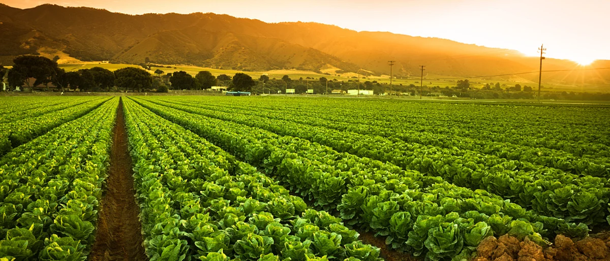 Diesel Free Agriculture