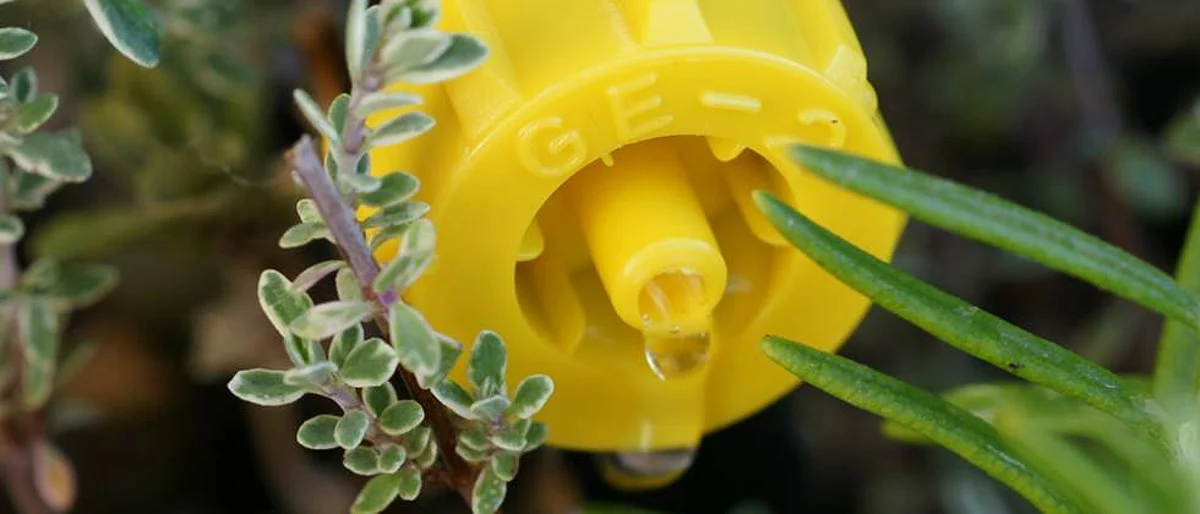 drip irrigation