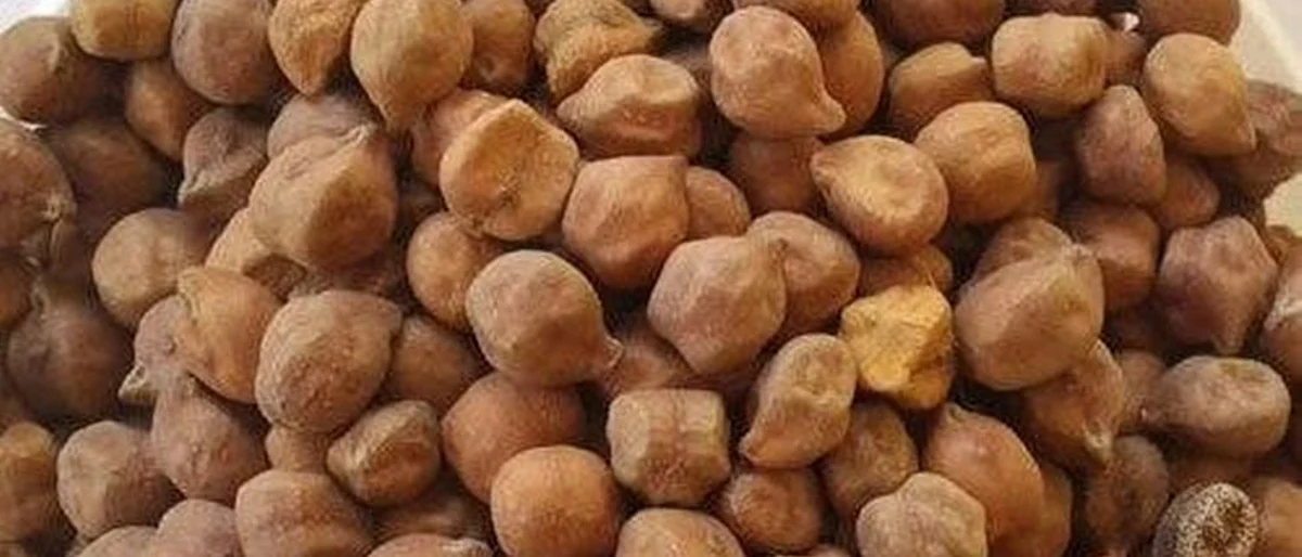 आवक वाढूनही हरभरा दर टिकून