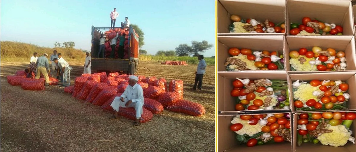 in the lockdown company solds maximum quantity of onions, the family pack box of vegetables made by the company