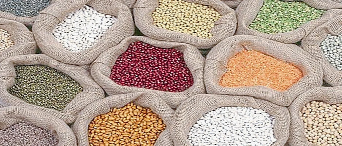 Millet In Diet