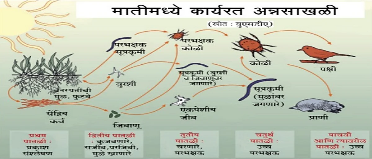 शून्य मशागत... नव्हे, निरंतर मशागतीची शेती!