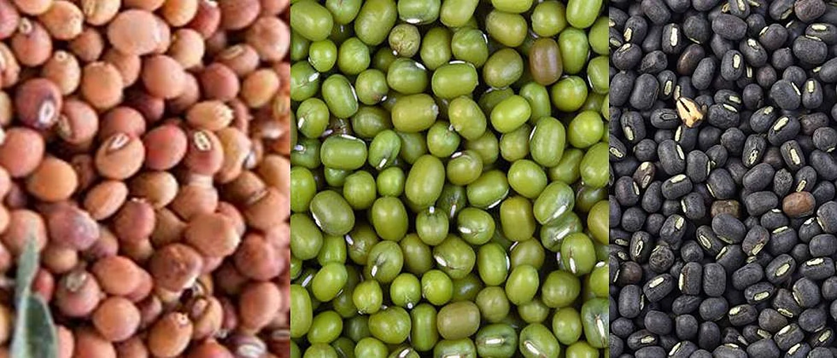 tur moong urad