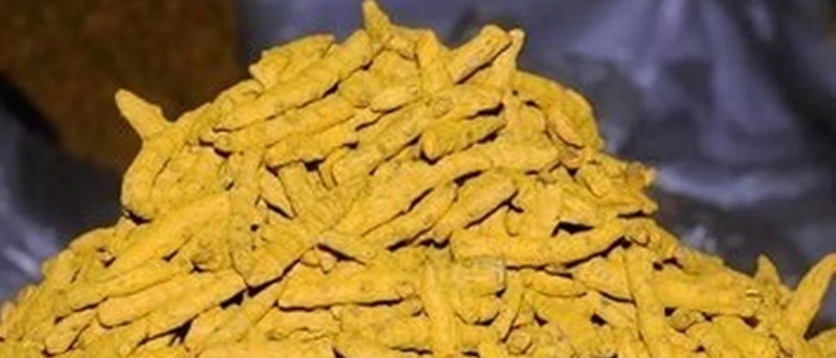 turmeric
