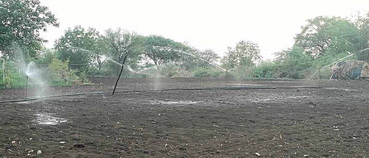 Rainfall in Nanded district Longing; The sowing was stoped