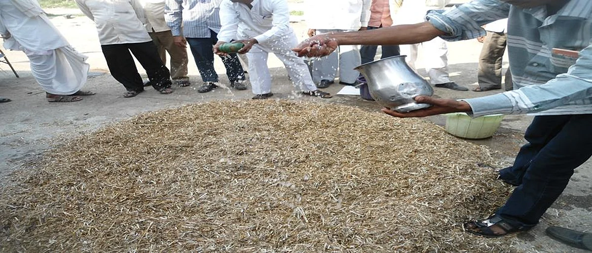 युरियाची विषबाधा टाळण्यासाठी काळजी आवश्यक