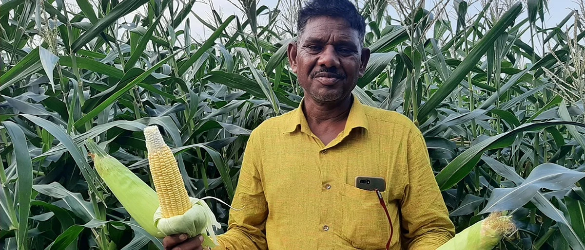 मनोहर डाहाके .यांनी यंदा मधूमका घेतला आहे.