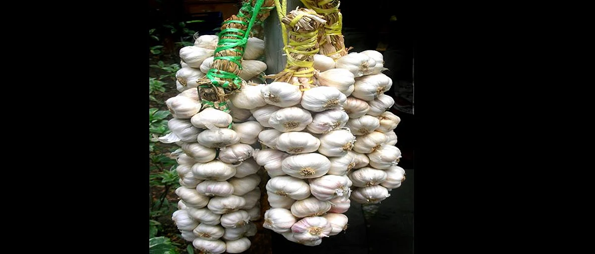 कृषी सल्ला