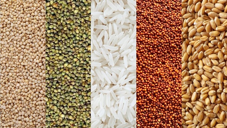 nutritious cereal । पौष्टीक तृणधान्य