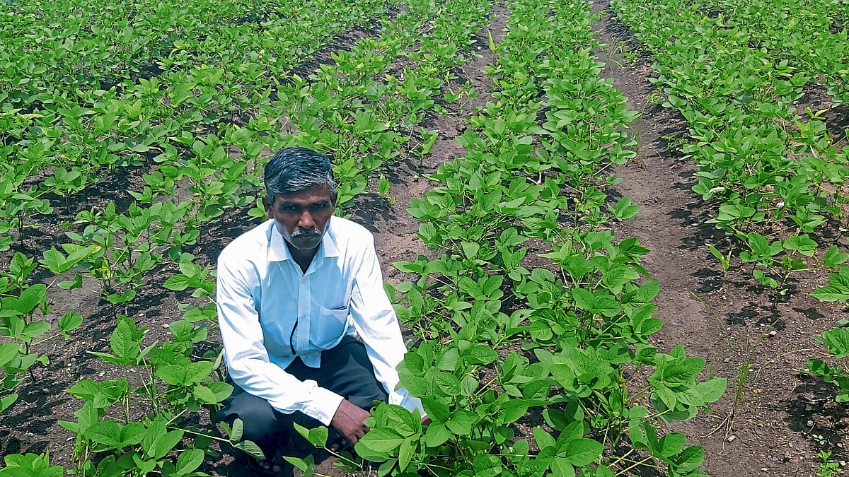 गादीवाफा, जोडओळ पद्धतीने यशस्वी सोयाबीन लागवड । Soybean Cultivation