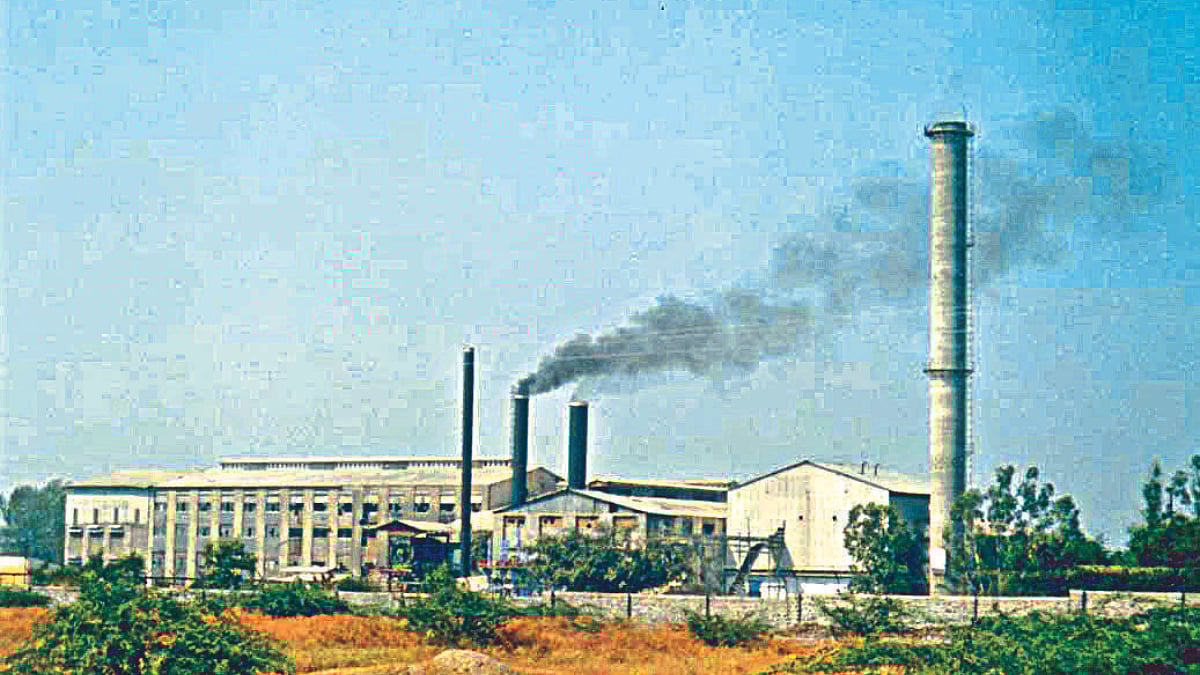 सहवीज निर्मितीतून माळेगाव कारखान्याला दीड कोटींचा फायदा । Malegaon