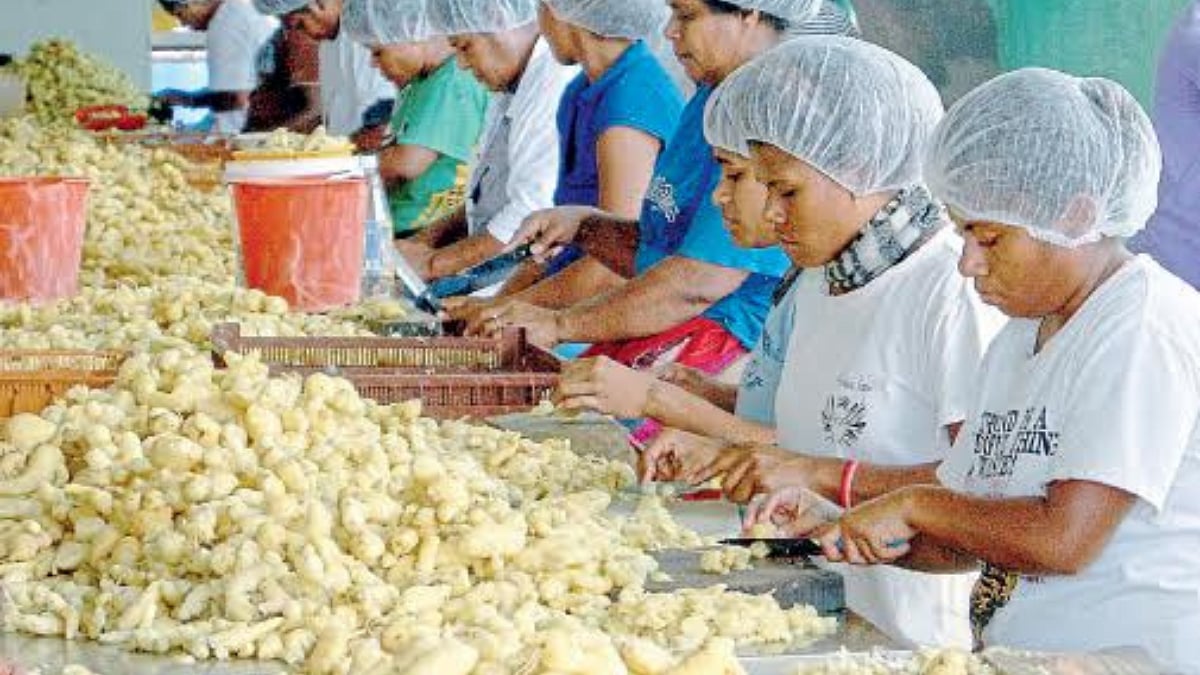 अन्न तंत्रज्ञान उद्योगात करिअरच्या संधी । Food Technology