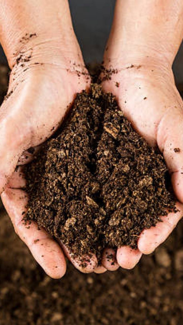 Compost In Home घरच्या घरी कंपोस्ट खत कसे बनवायचे ? । How To Make