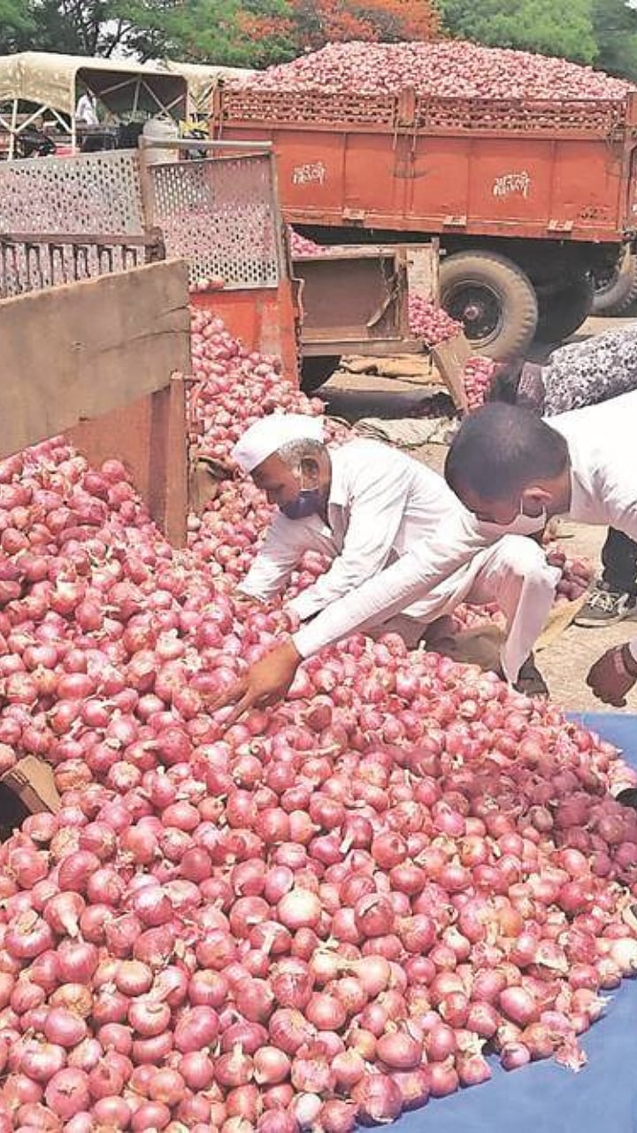 Onion Subsidy कांदा अनुदानाचं काय झालं? What happened to the onion