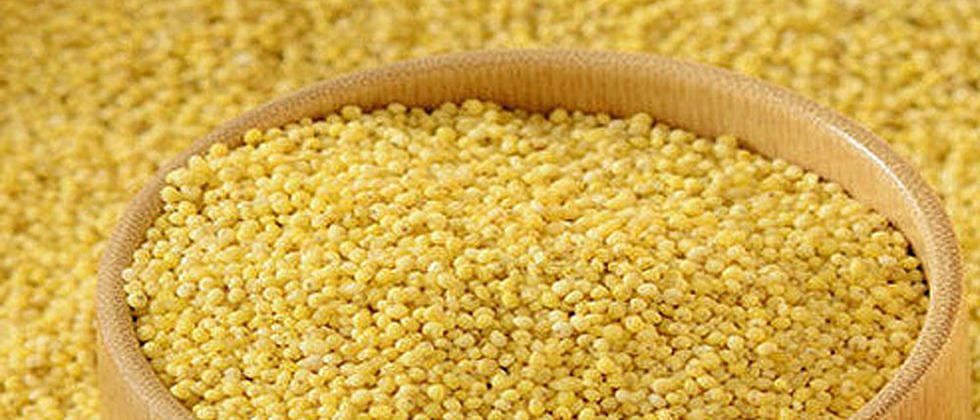 बहुगुणी राळा