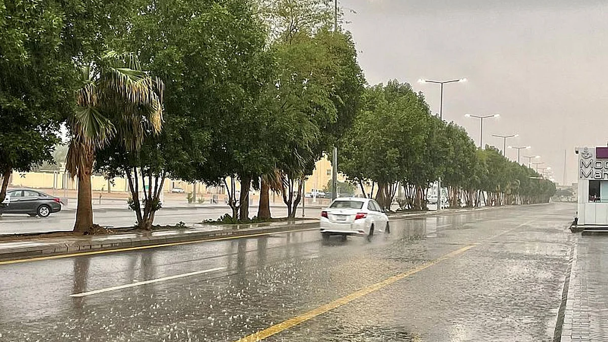 بالفيديو.. أمطار الخير ترسم لوحة بديعة بالقصيم.. والعوائل تخرج للاستمتاع بالأجواء