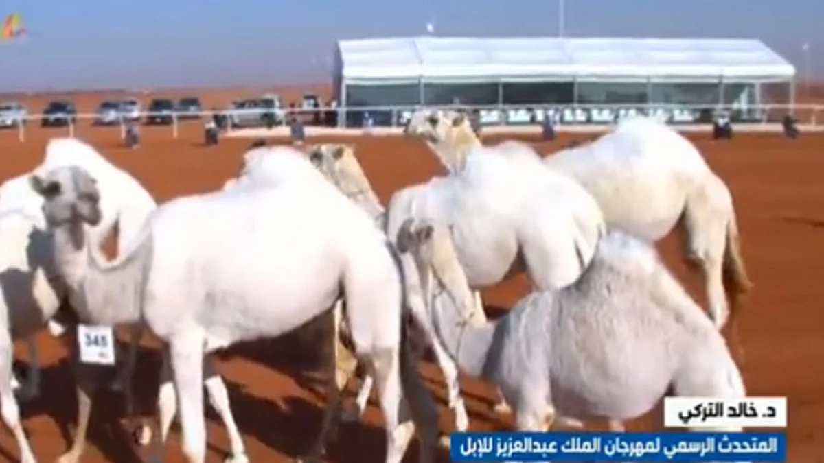 متحدث مهرجان الملك عبدالعزيز يكشف عن سبب إيقاف المناسبات