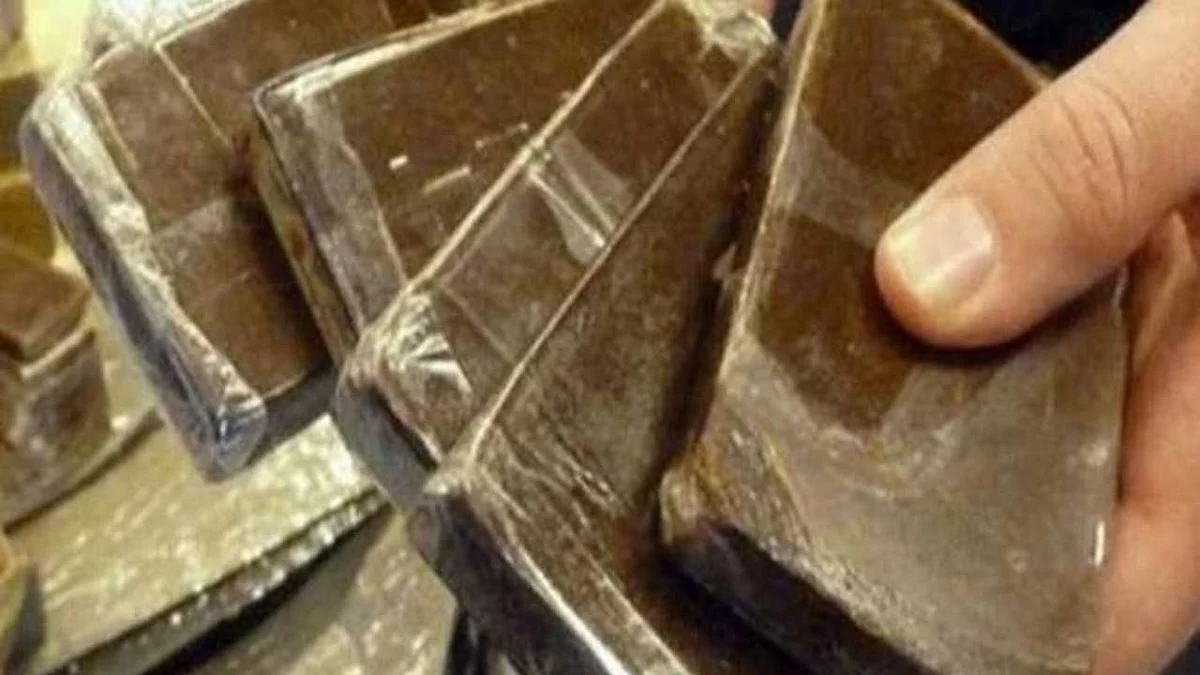 القبض على مقيم بحوزته 20 كيلو من الحشيش في عسير