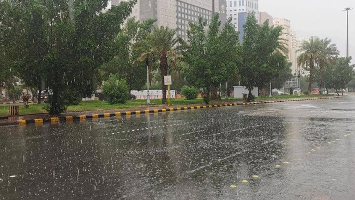 هطول أمطار على عدة مناطق