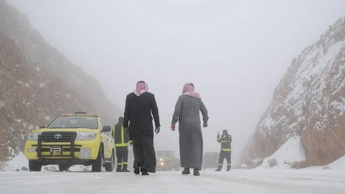 تساقط ثلوج (أرشيفية)