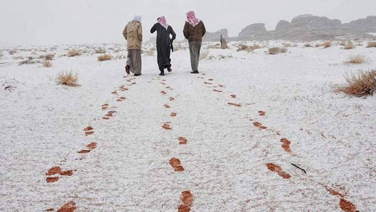 الأجواء الشتوية
