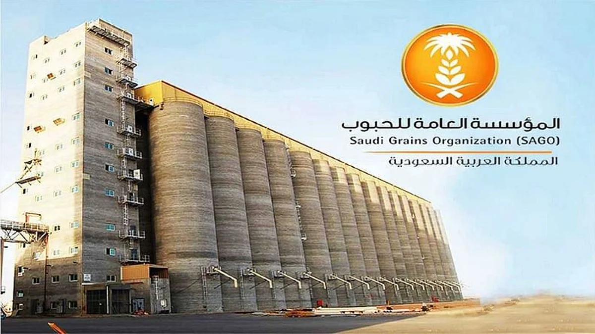 مؤسسة الحبوب
