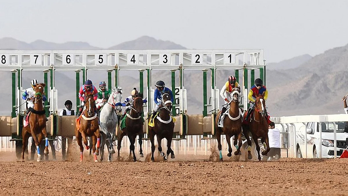 ميدان الفروسية