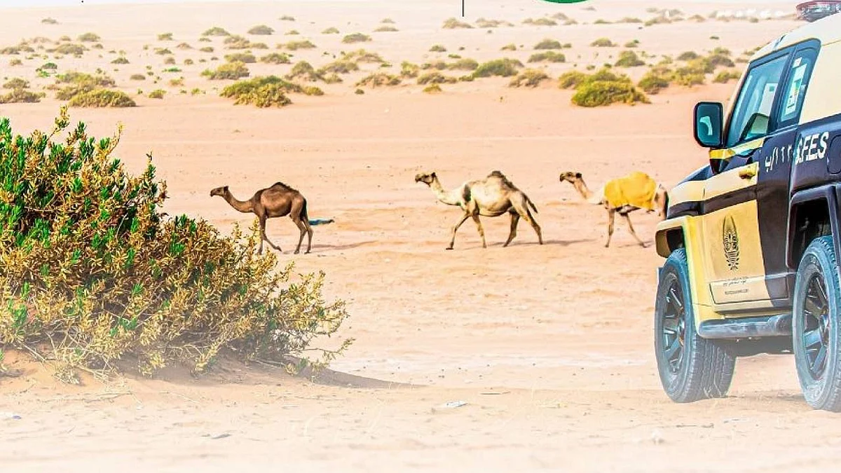 ـ قوات الأمن البيئي