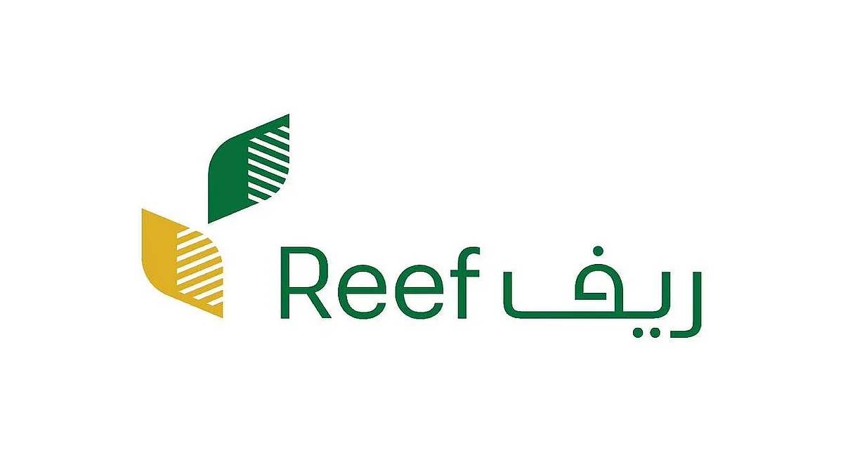 ريف: 4 خطوات للحفاظ على خلايا النحل أثناء هطول الأمطار