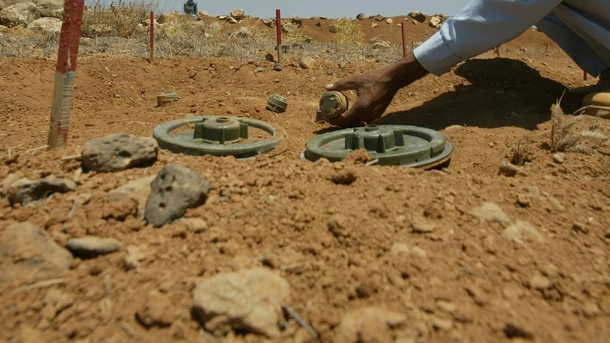 «مسام»: تطهير 32.9 مليون متر من الأراضي المفخخة بالألغام في اليمن