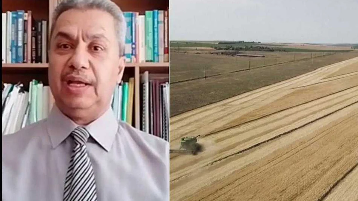 أستاذ اقتصاد: خسائر إفريقيا بسبب المجاعة المحتملة قد تتجاوز أعداد ضحايا كورونا