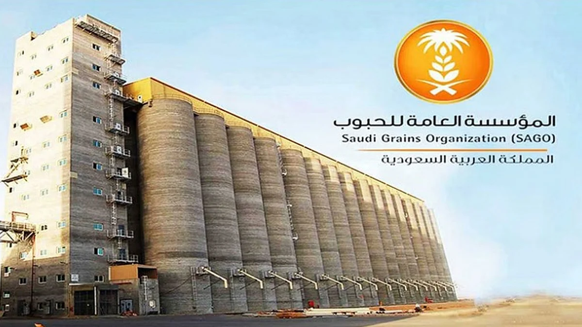 «مؤسسة الحبوب» تطرح مناقصة لاستيراد 480 ألف طن قمح