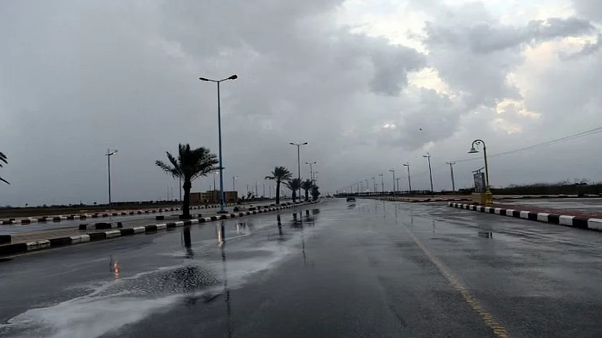 تكاثر الغيوم الممطرة بعدة مناطق