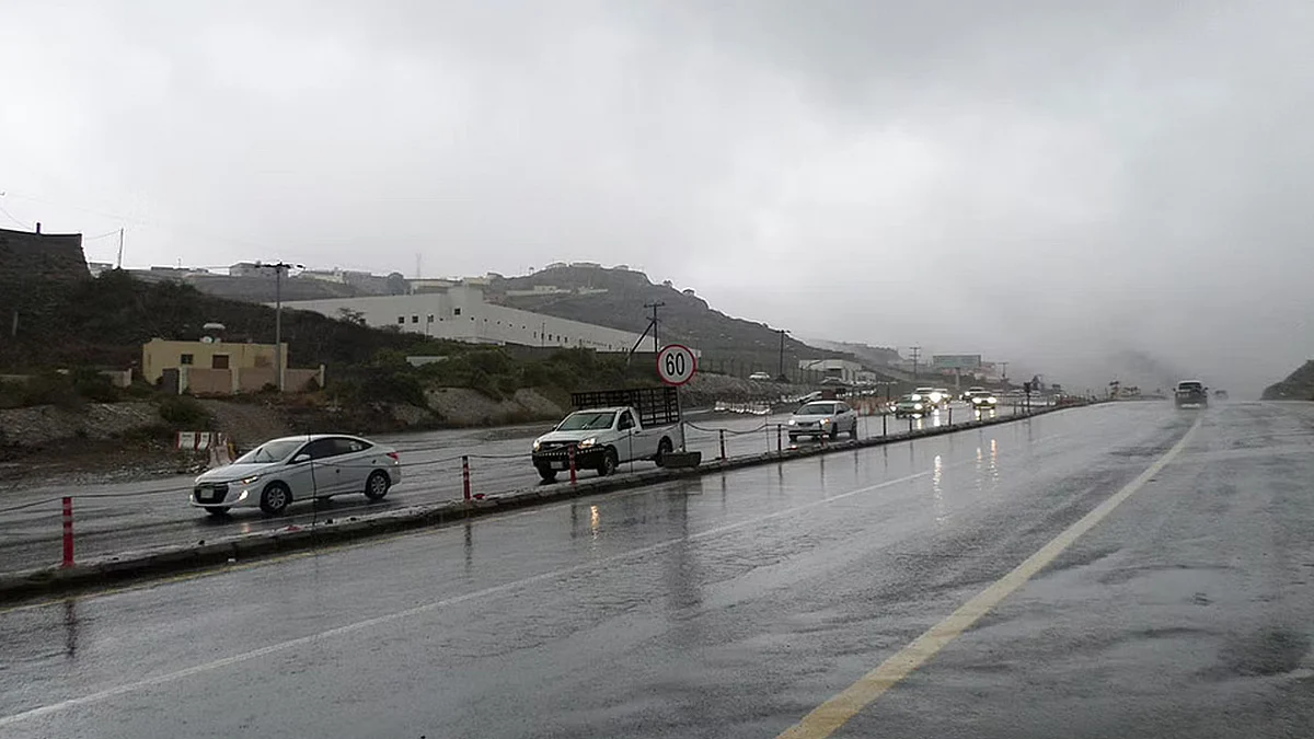 أمطار رعدية