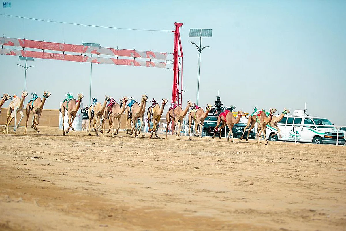 «متعب» الأسرع في مسائية اليوم الثاني لفئة اللقايا بمهرجان ولي العهد للهجن 2022