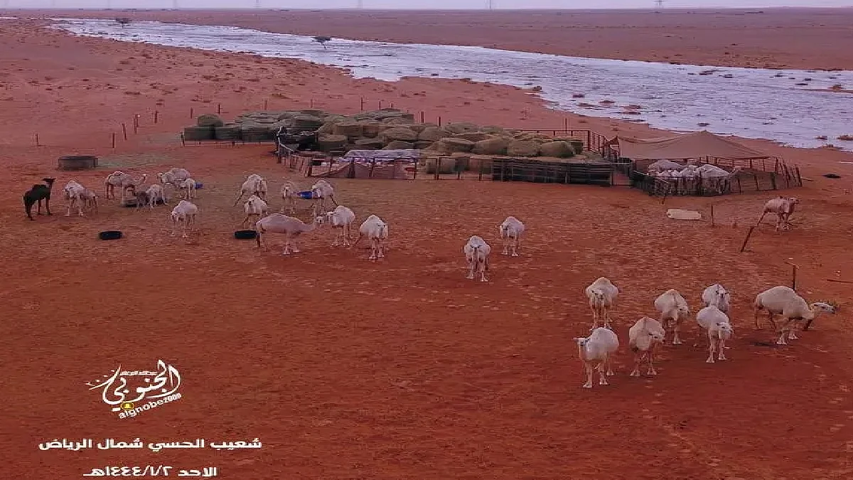 مصور يوثِّق السيول في وادي الحسي