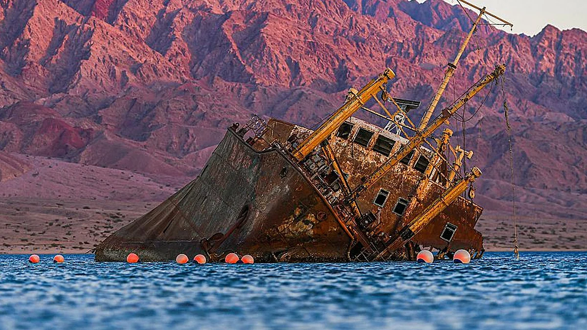 تناغم بين الرمال والمياه والمناخ.. سواحل تبوك ثروة طبيعية جمالية تأسر زوارها