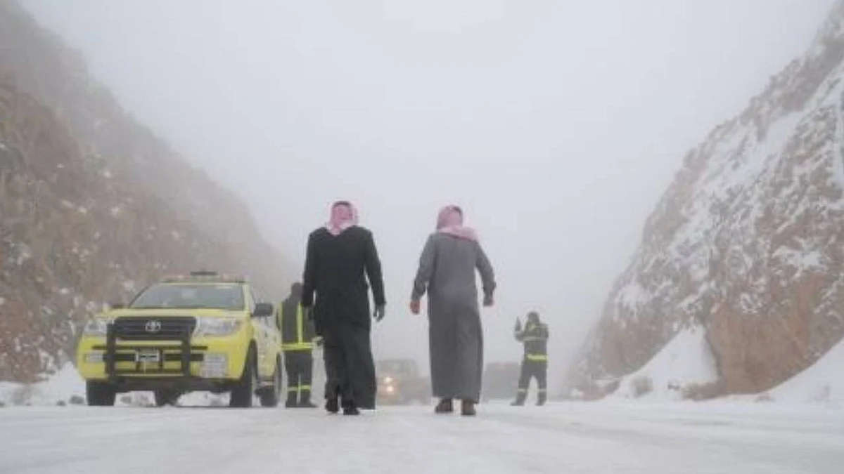 حبات برد