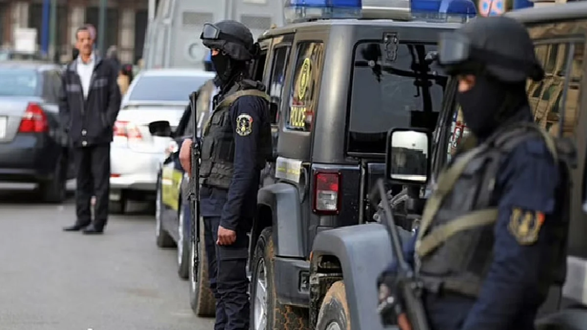الشرطة المصرية